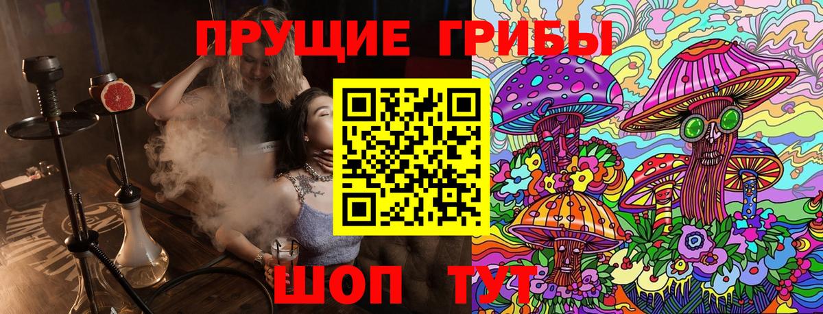 Галлюциногенные грибы Psilocybe  Вход с VPN  закладка  Наро-Фоминск 