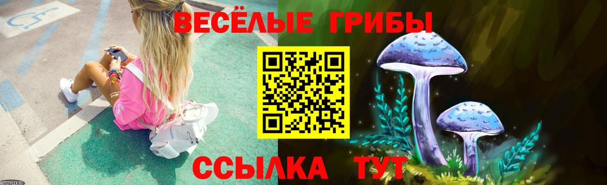 Галлюциногенные грибы Psilocybine cubensis Наро-Фоминск